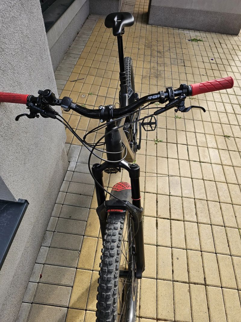Trek EX-E 9.5
