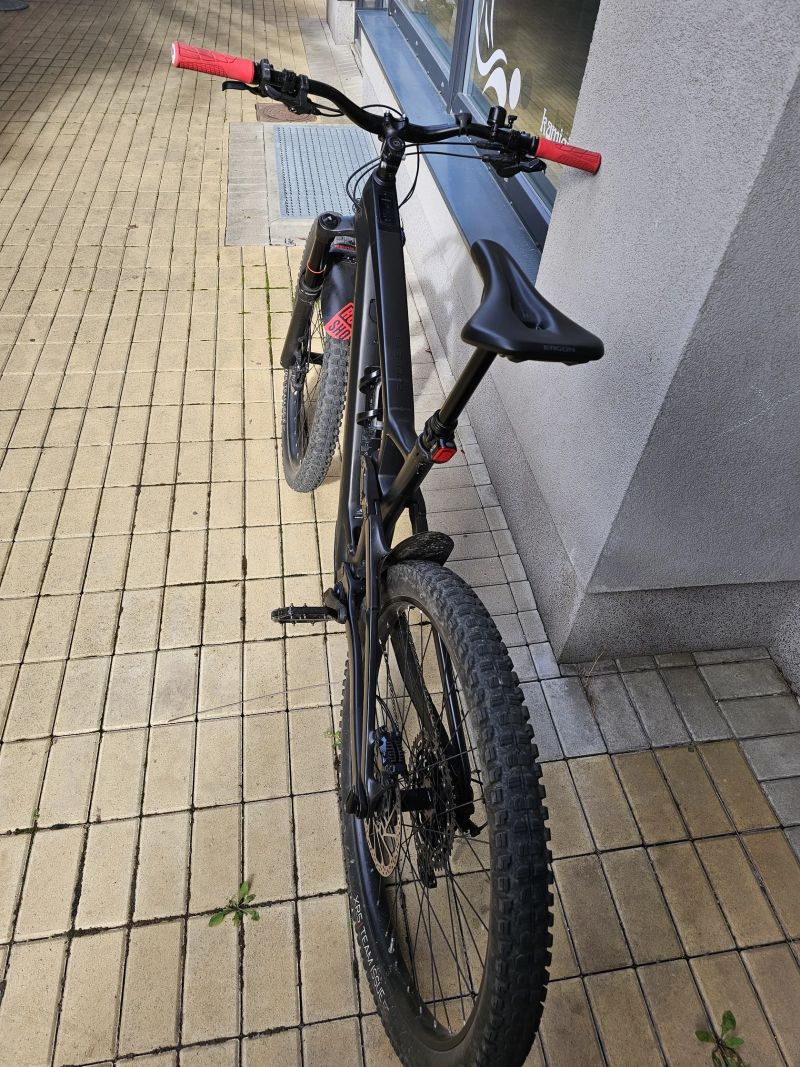 Trek EX-E 9.5
