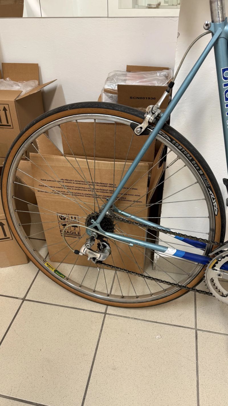 Shimano RX-100