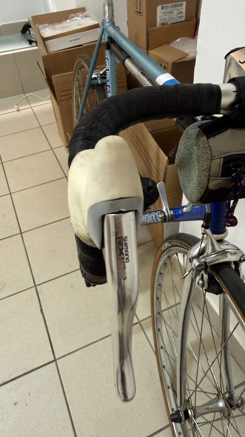 Shimano RX-100