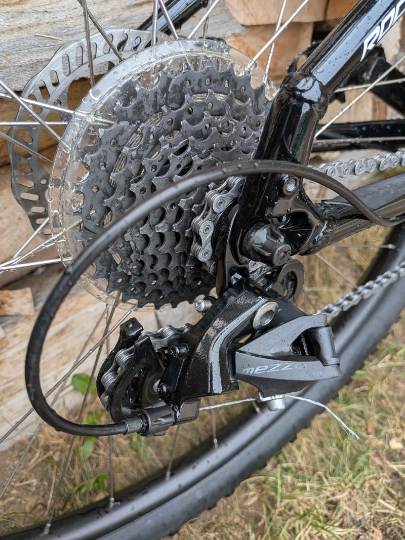 Specialized Rockhopper 29