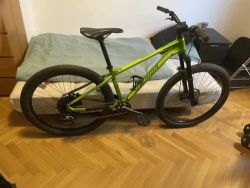 Merida Big.Seven 600 olive