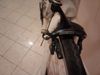 Prodám použitou sadu Campagnolo Veloce 10s