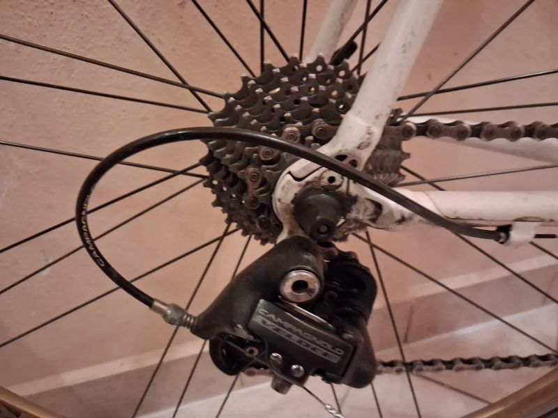 Prodám použitou sadu Campagnolo Veloce 10s