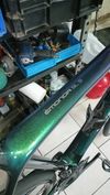 Trek Emonda