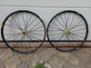 Canyon Canyon strive al 6.0