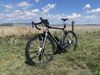 Colnago C64 Brushed Metal Dura Di2/Lightweit