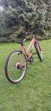 Samatha Mountain Bike