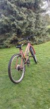 Samatha Mountain Bike