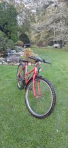 Samatha Mountain Bike