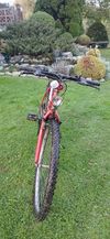 Samatha Mountain Bike