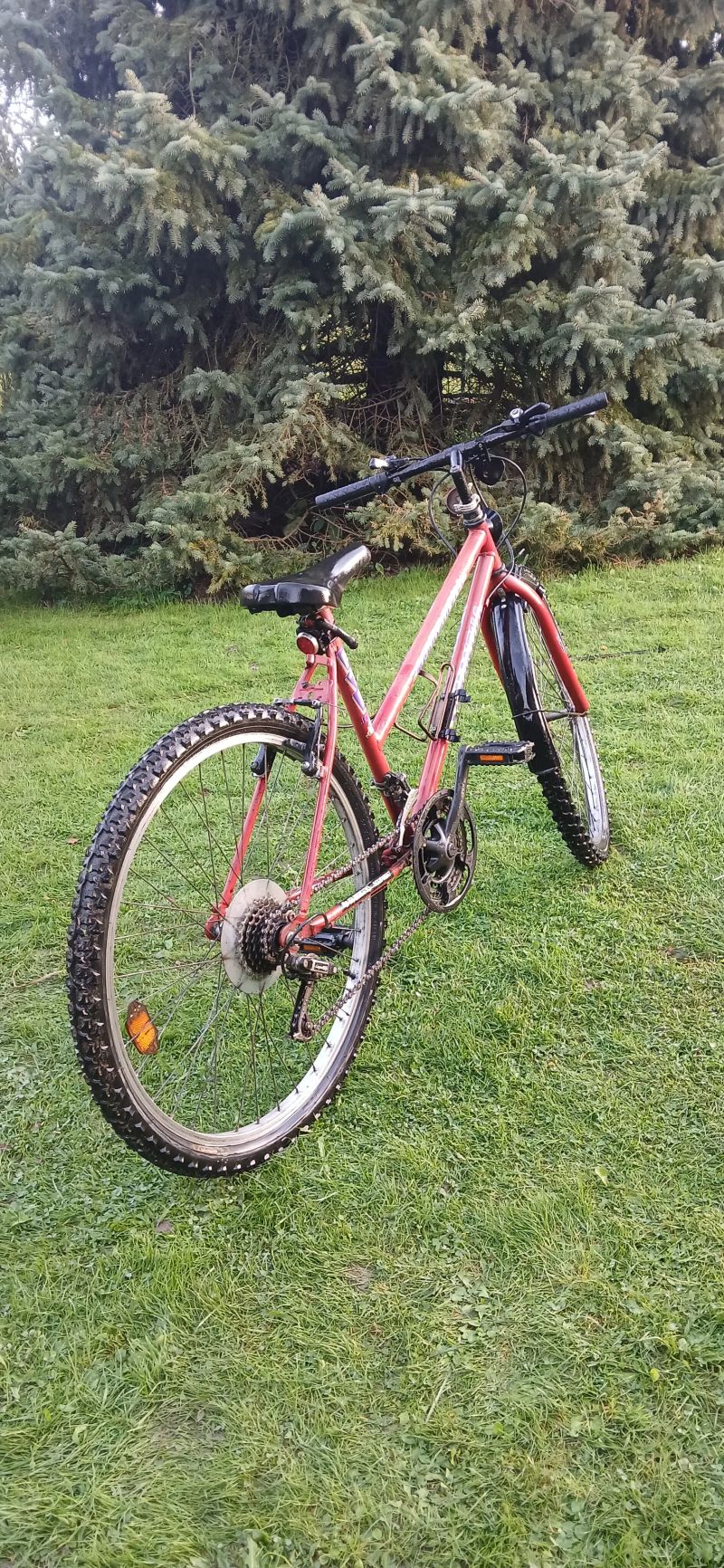 Samatha Mountain Bike