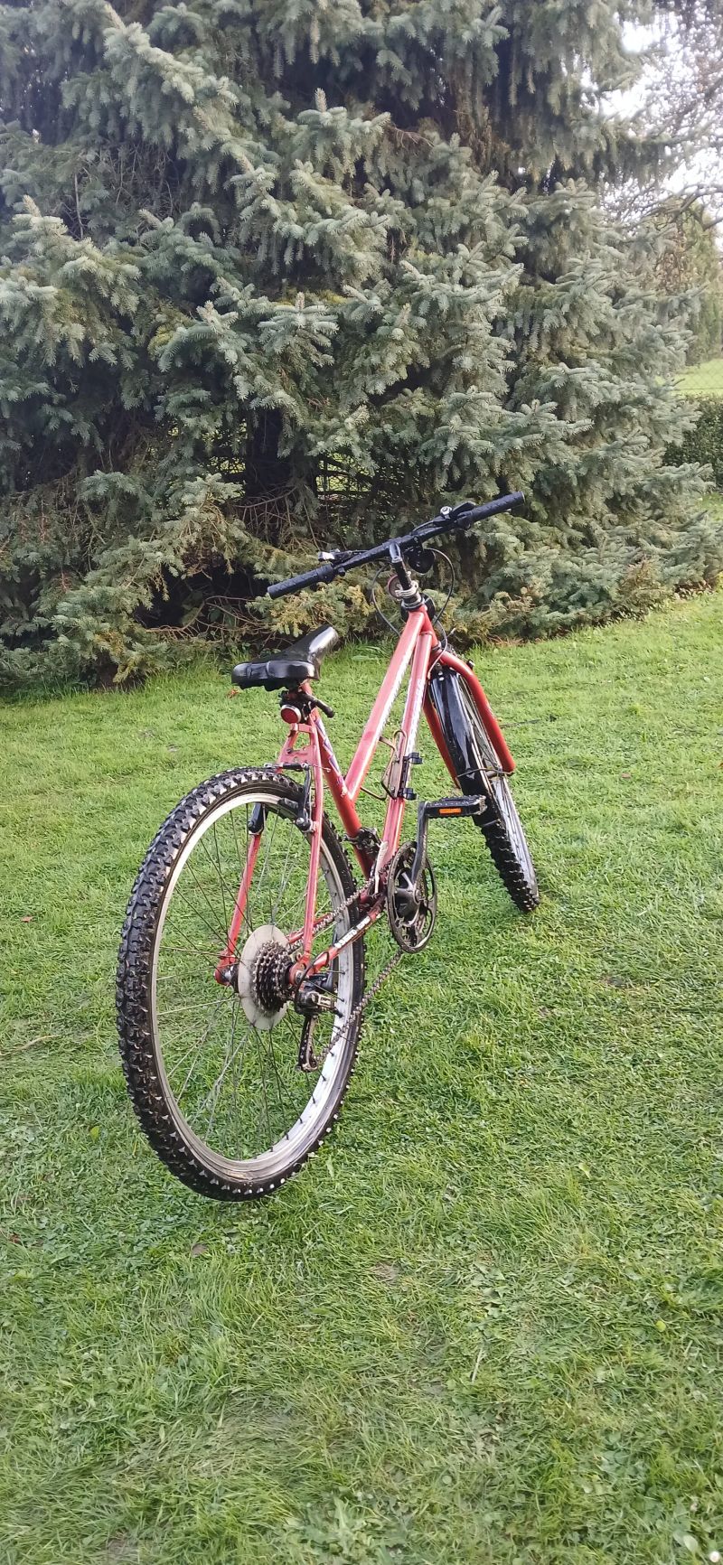Samatha Mountain Bike