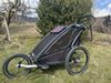 Prodám Thule Chariot Sport 1 Midnight Black