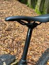 Trek Remedy 7