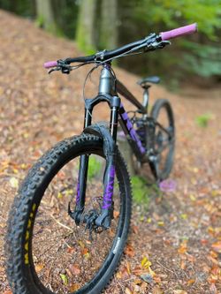 Trek Remedy 7