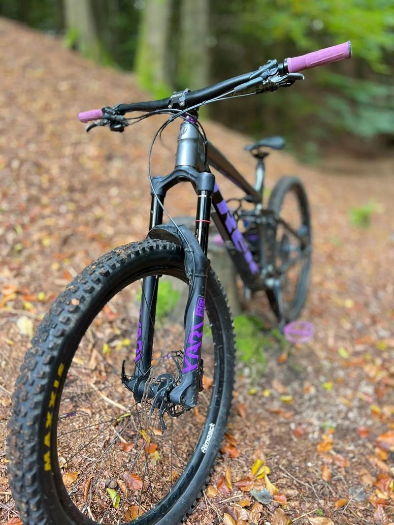 Trek Remedy 7