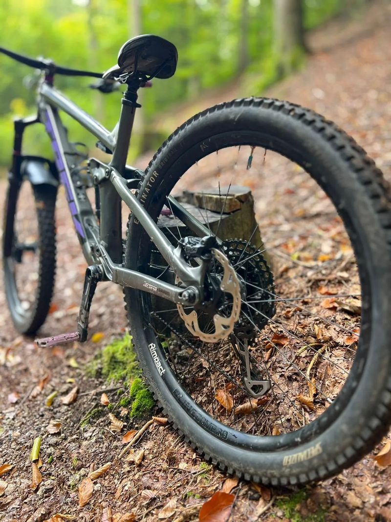 Trek Remedy 7