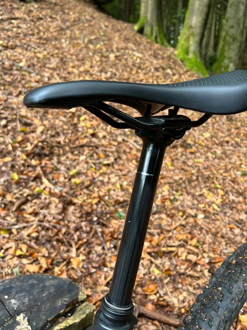 Trek Remedy 7