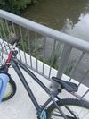 Dartmoor Primal 29