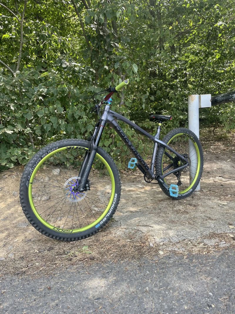 Dartmoor Primal 29