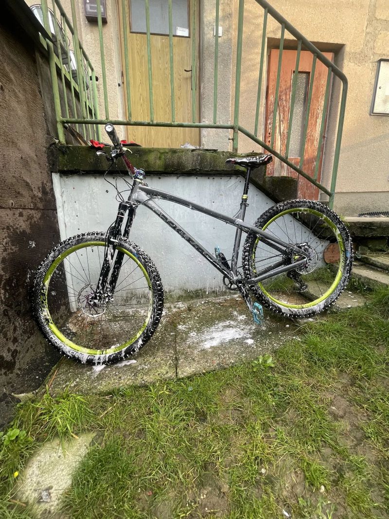 Dartmoor Primal 29