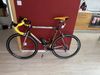 Colnago master