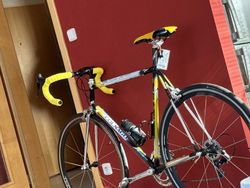 Colnago master