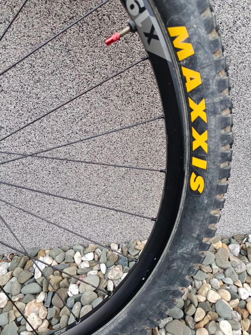 DT Swiss X1900 Microspline