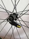 Kola Mavic Crossride 26 "