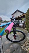 Prodám Superior XP909 29" AL