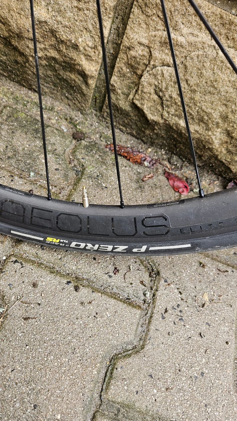 Bontrager