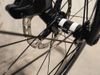 CIPOLLINI BOND