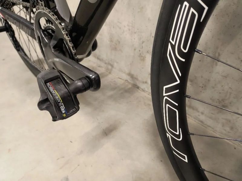 CIPOLLINI BOND