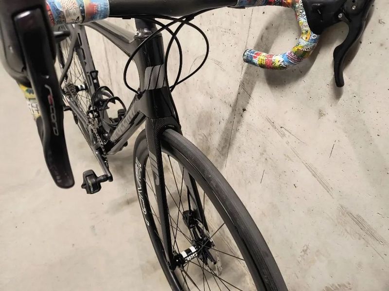 CIPOLLINI BOND