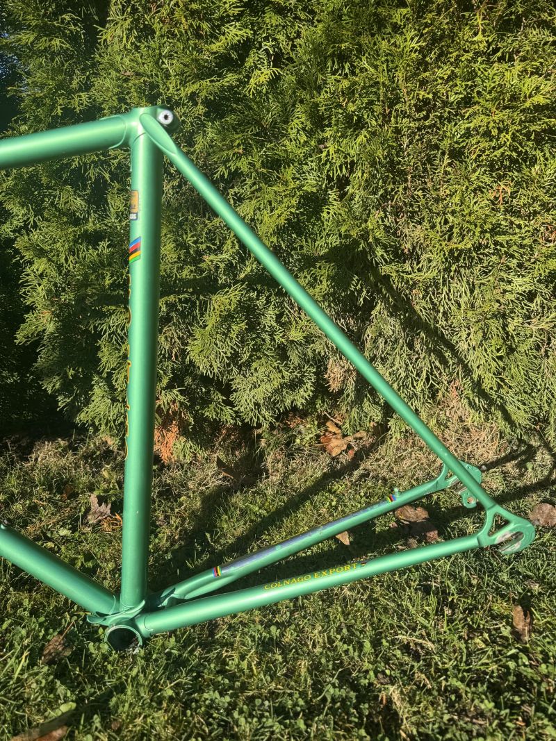 Colnago Export