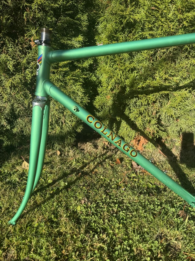 Colnago Export