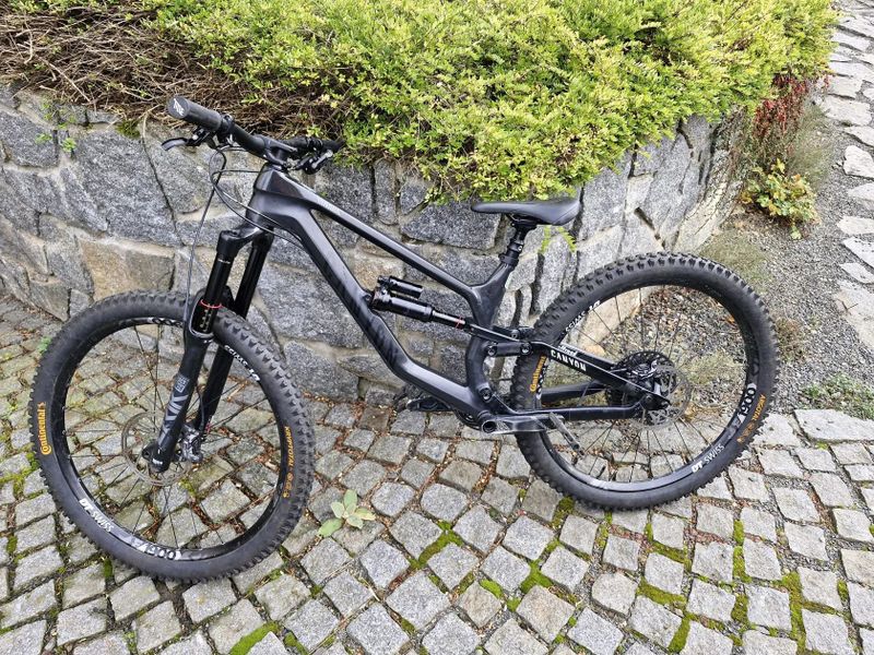 Canyon Torque Cf7 2020