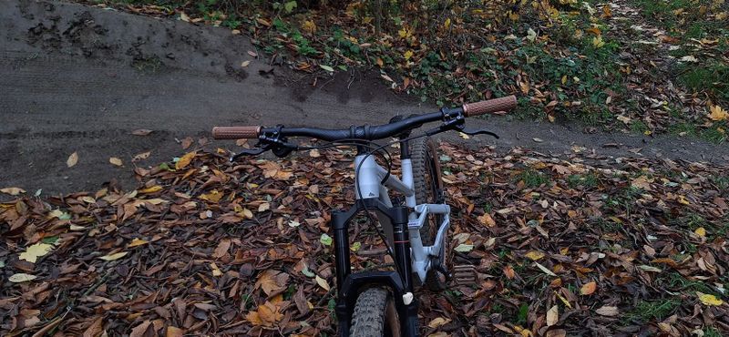 Canyon Torque5 al (mullet) L Enduro/Freeride kolo