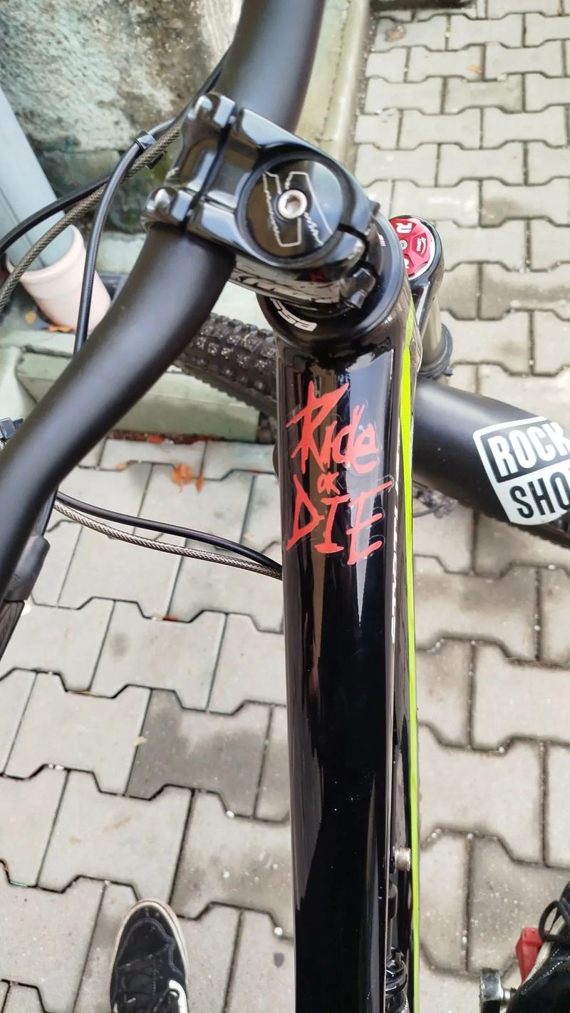 Specialized Status 1