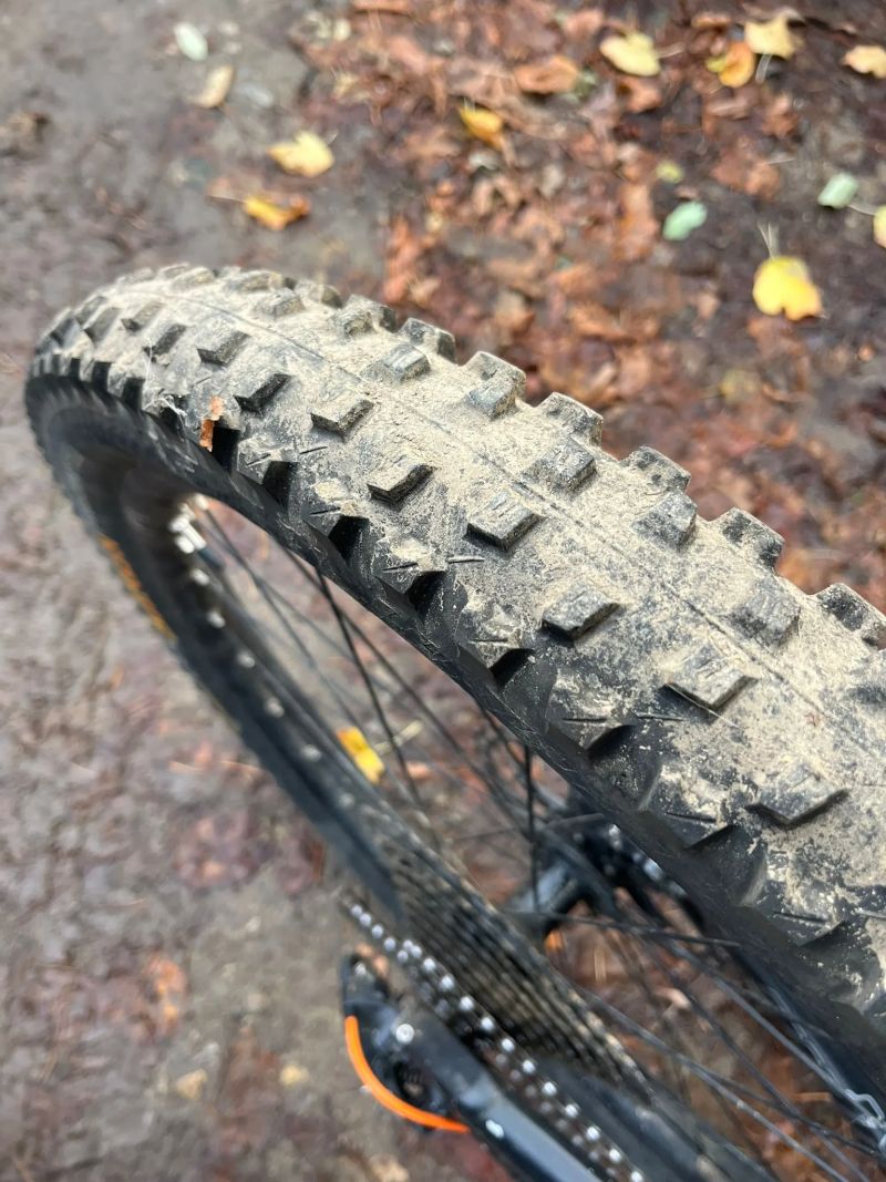 Author Patriot Evo Team 2016