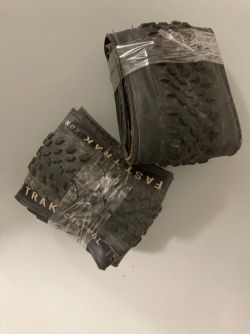 Specialized Fast Track