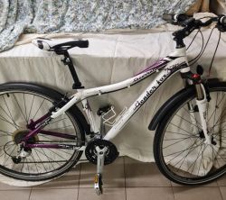 Dámské horské kolo