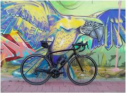 Trek Madone 2.1 // vel. 54 // 2014