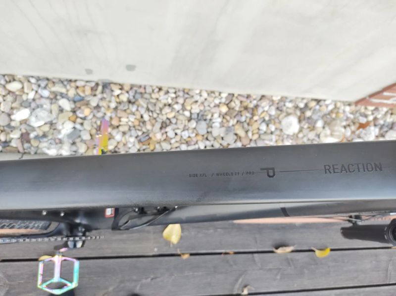 Cube Reaction C:62 PRO 2025