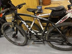 Amulet 29” Big Josse Carbon