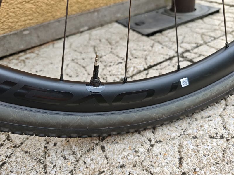 Specialized Crux Expert 56(L)