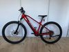 RDX E-MTB HD-M