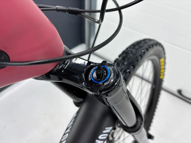 Canyon Spectral 29 CF9 2021 Karbon