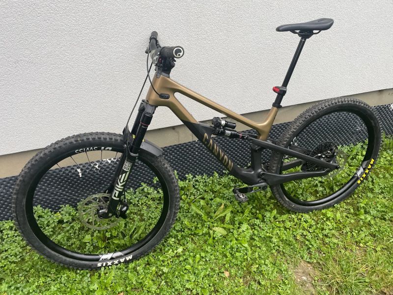 Canyon Spectral 125 CF LTD Flight Attendant